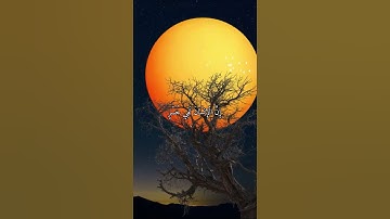 واتس اب قران كريم القارئ سعد الغامدي سورة (العصر)