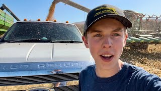 What Is A Corn Test Plot