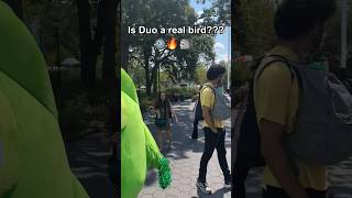 Duo Bird = Fake