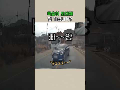 얼마나 빨리가겠다고 이렇게까지 하십니까.. #블랙박스 #실제상황 thumbnail