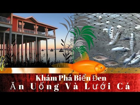 Video Khám Phá Biển Đen ( Ăn Uống và Lưới Cá) - youtube