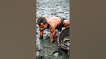 Incredible Man Catches Giant Eels With Bare Hands - Ancient Fishing Techniques #fishing #fish #wild