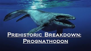 Prehistoric Breakdown: Prognathodon