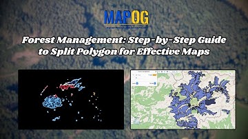 Forest Management: How to Split Polygons for Better Mapping #gis  #forestmanagement #conservation