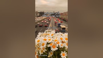وَلَقَدْ جَعَلْنَا فِي السَّمَاءِ بُرُوجًا وَزَيَّنَّاهَا لِلنَّاظِرِينَ (16) سورة الحجر 🌻