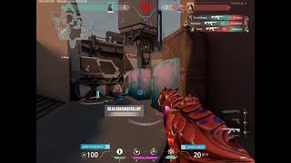 Reynaultiejder Vandal