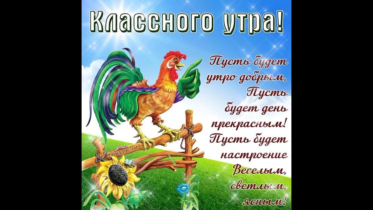Доброе утро с петухом картинки прикольные