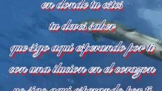 el gran tiempo-esperando por ti letra