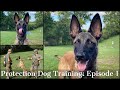 Teaching My Son To Train Protection Dogs Episode 1 | Malinois & Dutch Shepherd