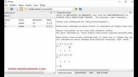 Come fare i vettori su Matlab e Octave