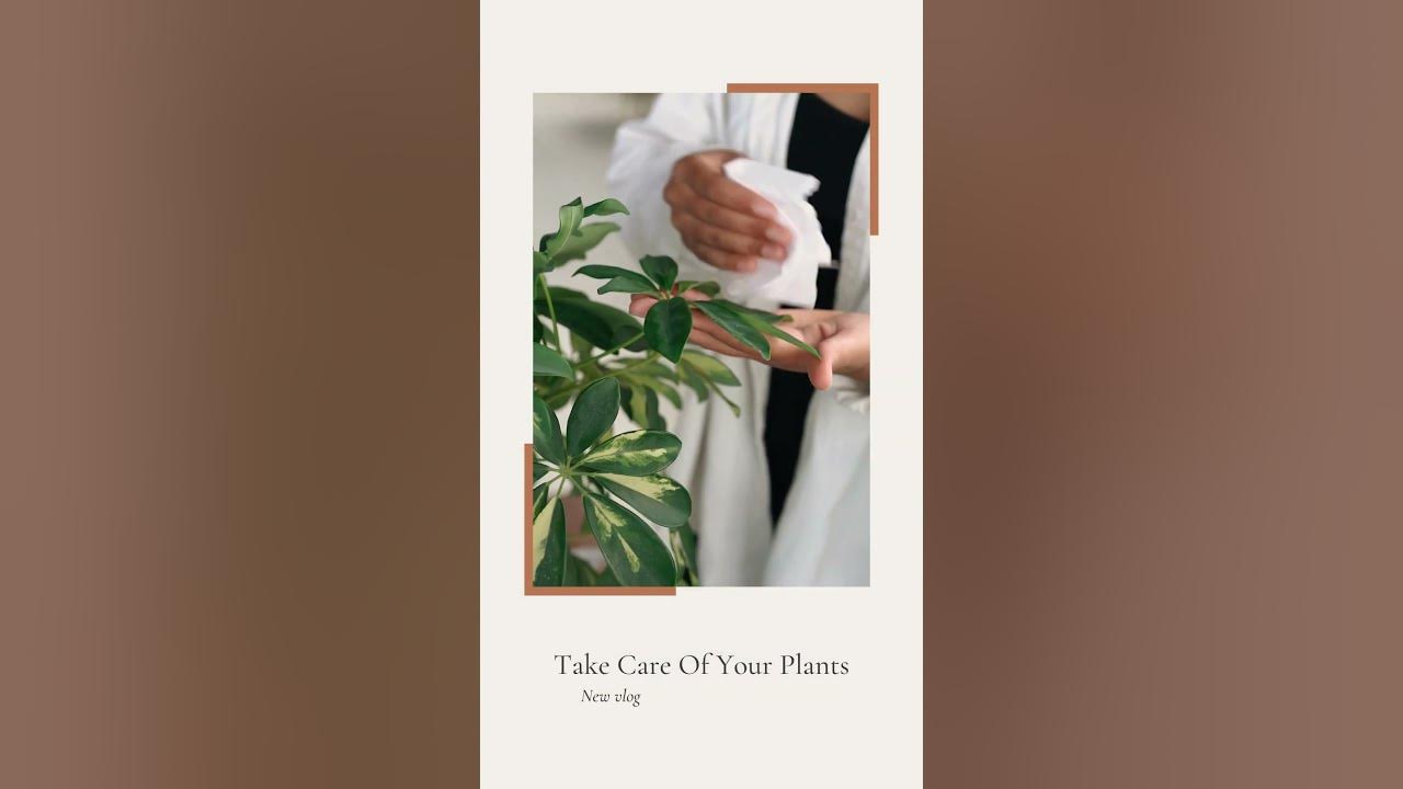 How to sell plants on Amazon.Green Commerce A Guide to Selling Plants