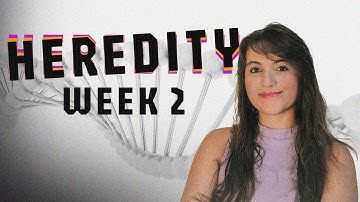 (CS50 AI) HEREDITY - PROJECT 2 | SOLUTION