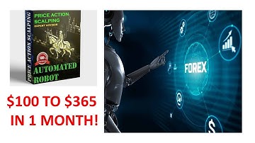 Price Action Scalping EA : The Best Forex Robot | Turn $100 into $365 in one month! No Martingale!
