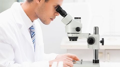 SWIFT Trinocular Stereo Zoom Microscope 3.5X-90X w/ Digital  Camera ,EP1 (1.3MP, + S7 TP520)