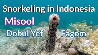 Dobul Yef, Fagom - Misool, Raja Ampat - 4K Snorkeling in Indonesia