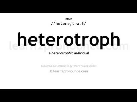 Ääntämystä heterotrofiksi | Määritelmä Heterotroph