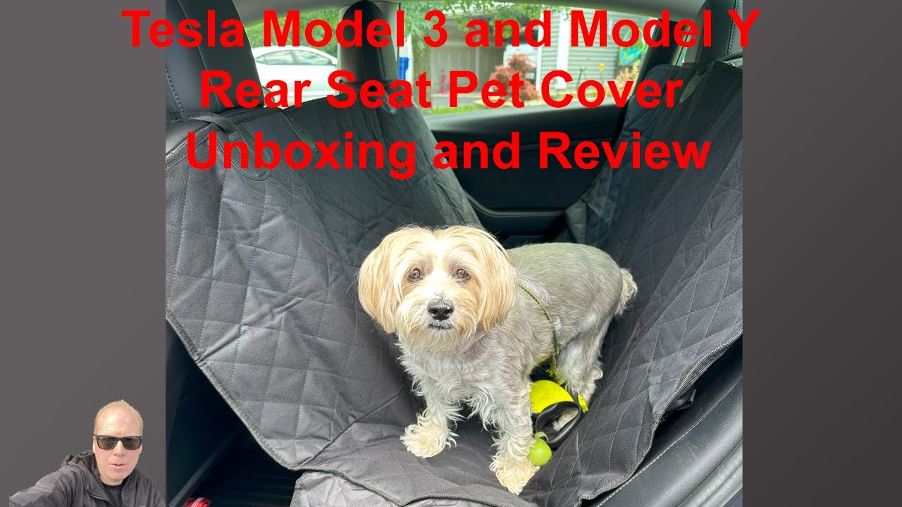 Rear seat dog box for Tesla Model Y and 3 – Tesla Ausstatter