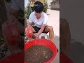 【閲覧注意】蠍🦂の養殖工場がやばいよ。