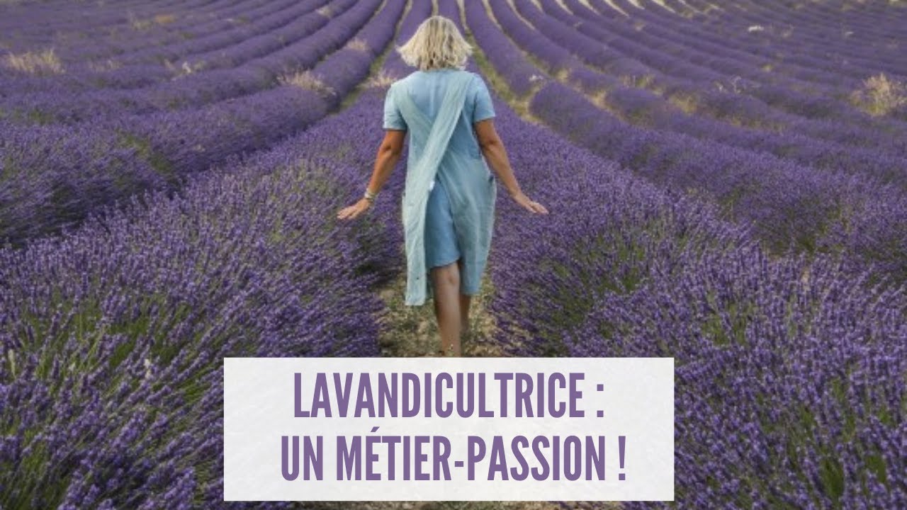 Passion Lavande : apprenez en + sur Odile, Lavandicultrice au cœur de la Drôme Provençale !