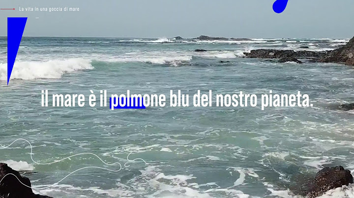La vita in una goccia di mare