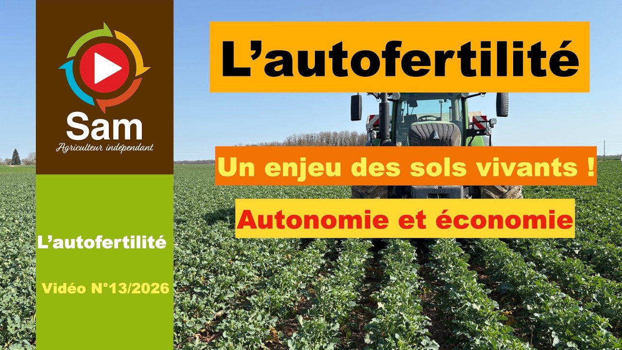 L'autofertilité des sols : Un enjeu d'avenir.Formes d'azote et économie. Exemples en Tour de plaine