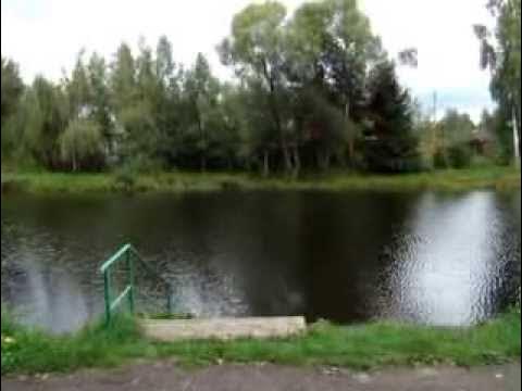 СНТ пруд