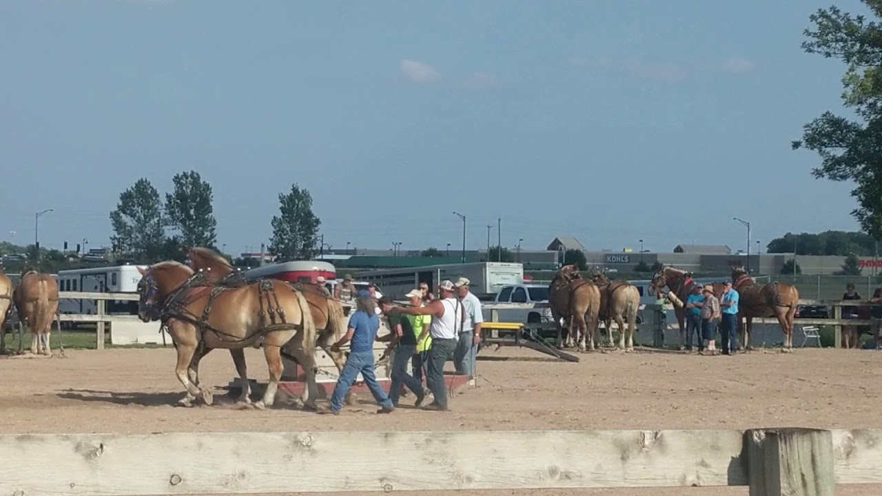 Manitowoc County Fair 2018, horses YouTube