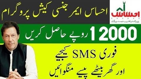Ehsaas Emergency Cash Program, how to apply for Ehsas Emergency Cash  Program