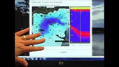 Insight Genesis Video