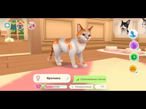 Видео: Игра Cat Rescue Story #6: Новое Большое Обновление!