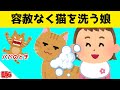洗われるの大嫌いな猫が、大好きな娘に容赦なく洗われた結果www