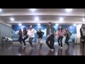 SNSD Girls Generation Mr. Taxi mirrored Dance Practice