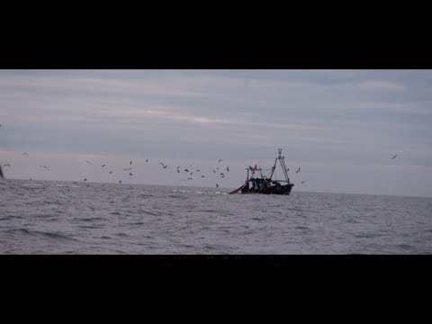 Collabor8te: 'NETS' dir.