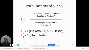 Module 48 Elasticity of Supply   Google Slides