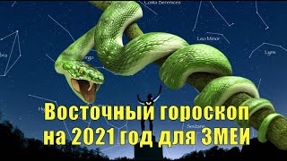 Восточный гороскоп на 2021 год для Змеи.