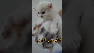 وظلـم ذوي القربـى أشــدُّ مضـاضـة على المرء من وقع الحسام المهند