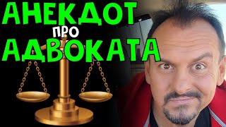 Анекдот Про Адвоката #Юмор #Анекдот Анекдоты От Алекса