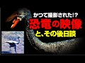 かつて撮影された!?恐竜の映像とその後日談