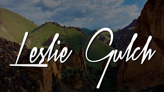 Leslie Gulch, Owyhee Canyonlands | Oregon Gem