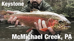 WB - Fly Fishing Keystone Select, McMichael Creek, PA - May '18