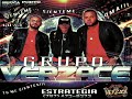 Grupo Verzace- Estrategia