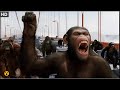 Apes vs Humans - Bridge Battle Scene - Rise of the Planet of the Apes (2011) Movie Clip HD