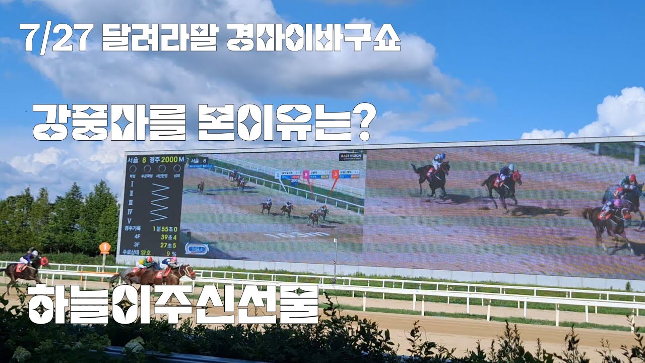 달려라말 경마이바구쇼(대상경주 후기)