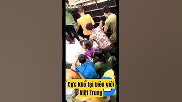 Đời công nhân bốc vác vất vả tại biên giới Việt Trung😍 #shorts #status #short