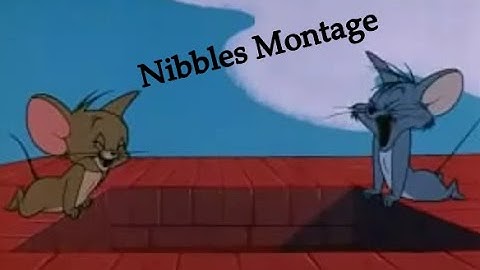Nibbles Montage | Tom And Jerry : Chase CN server