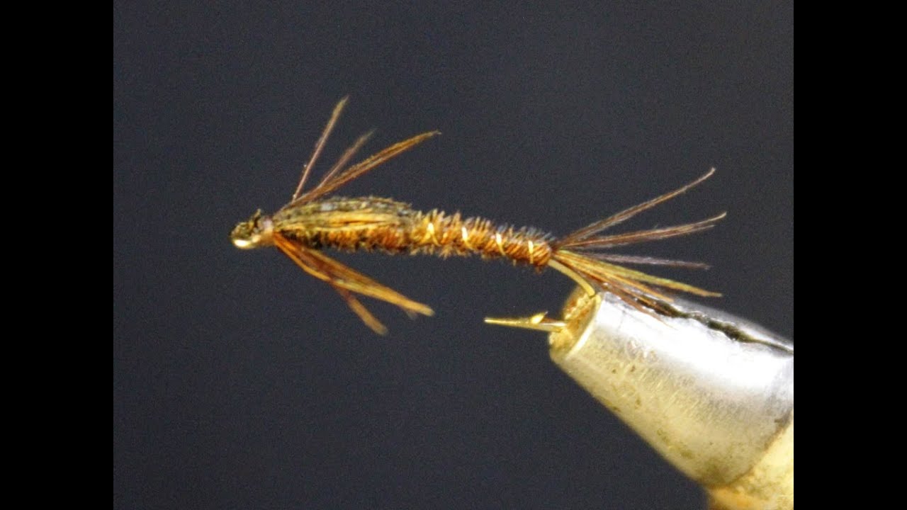 How to tie a Juvenile Stonefly Nymph YouTube