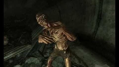 Spoofing arround with Fallout 3