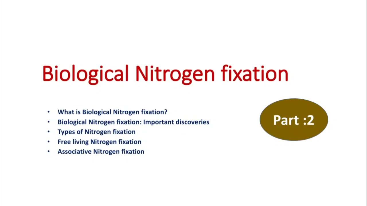Biological Nitrogen fixation Free living Nitrogen fixation