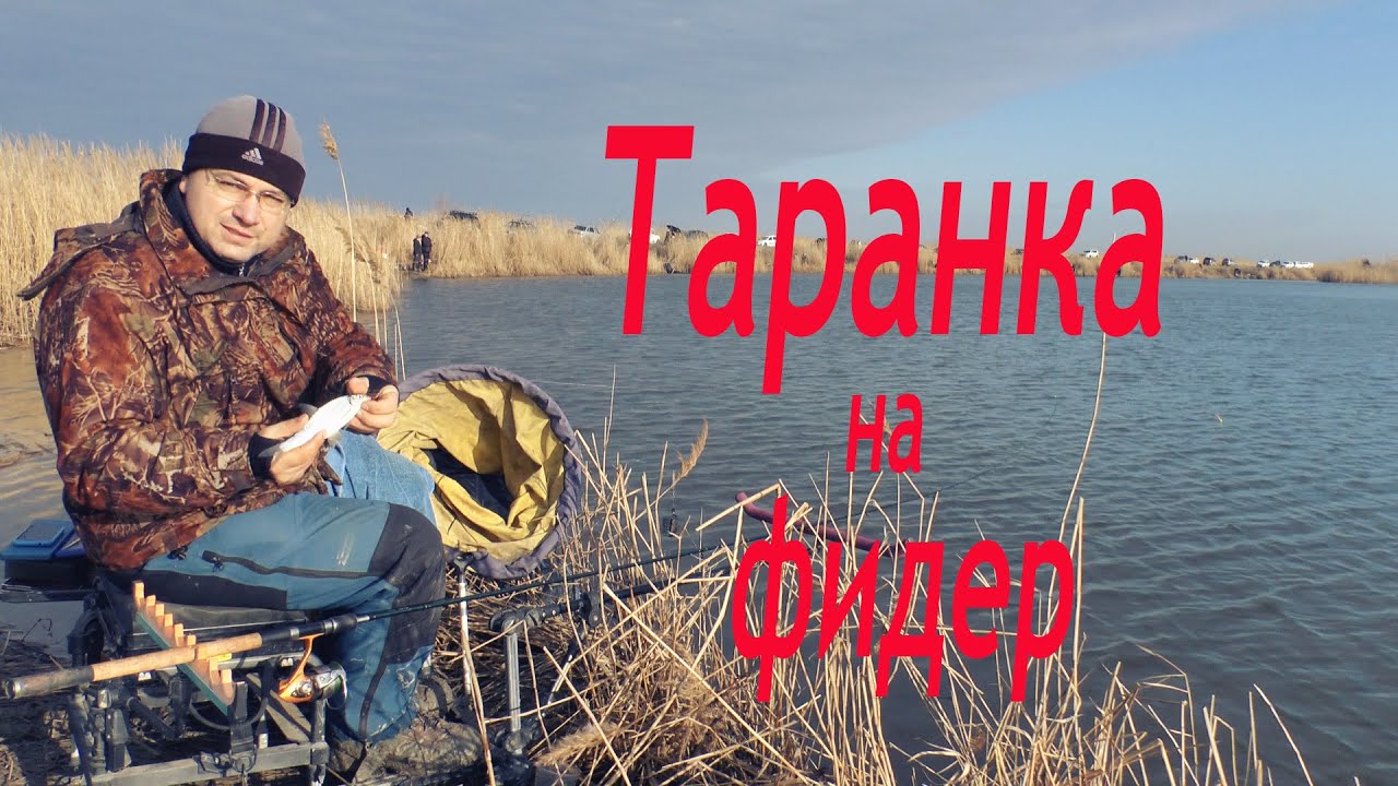 Тарань на фидер. Ловим фидером Азовскую Таранку. Плотва на фидер.