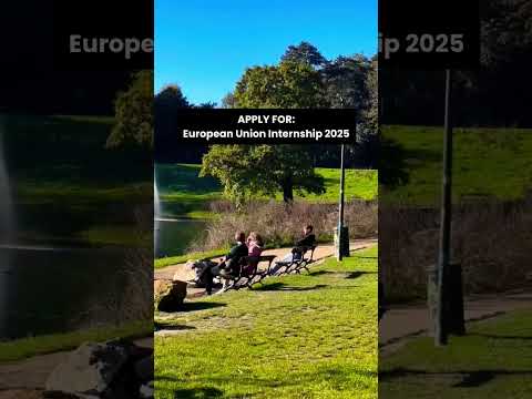 European Union Internship